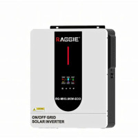 Потужний гібридний сонячний інвертор для дому та автономних систем RG-MH3.6KW ECO 24V MPPT-120A